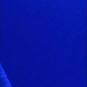 Meet your Posher, Macey